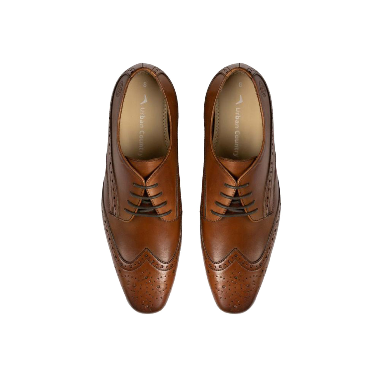 Men Leather  Brogue Derbys ǀ FLORIS 5176