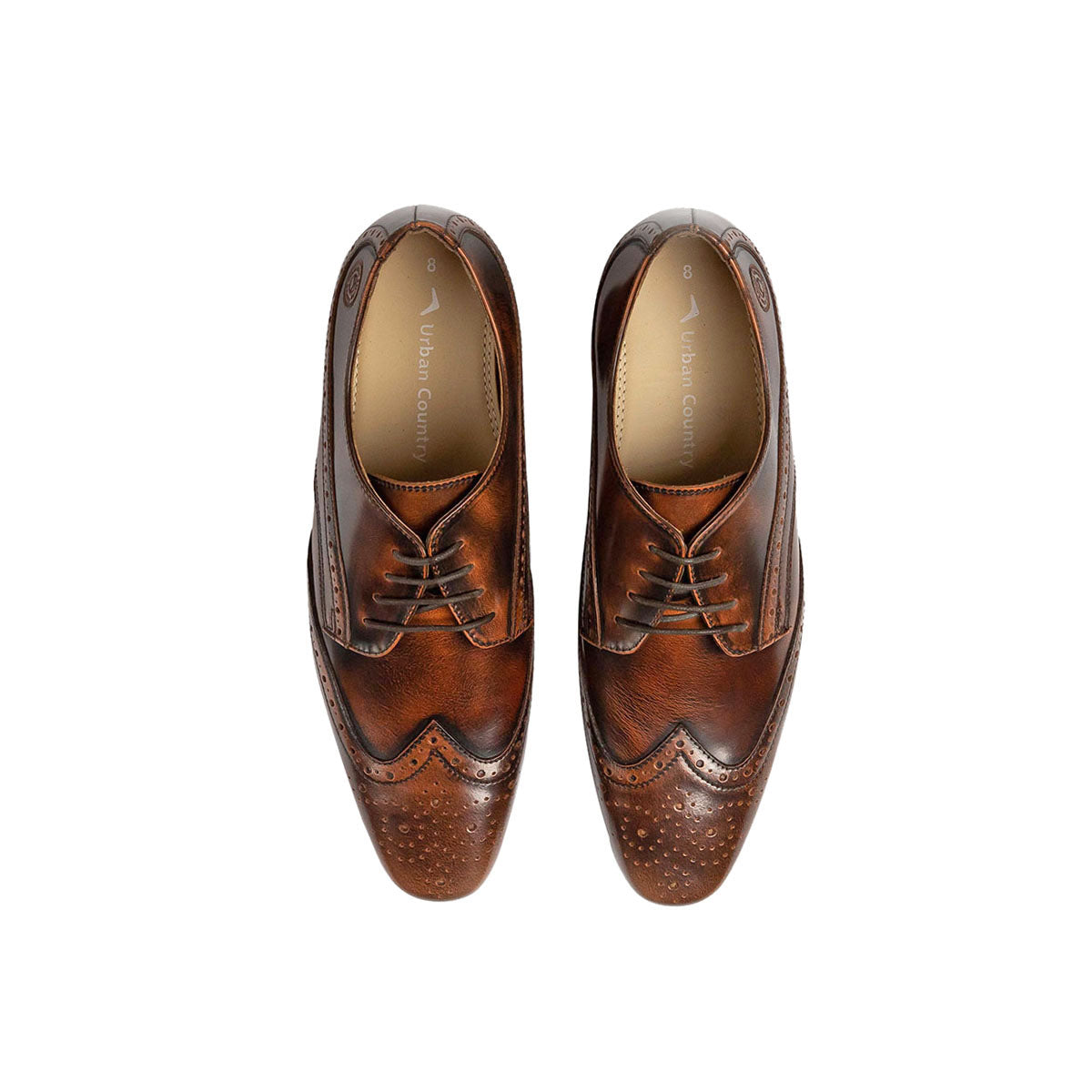 Men Leather  Brogue Derbys ǀ FLORIS 5176