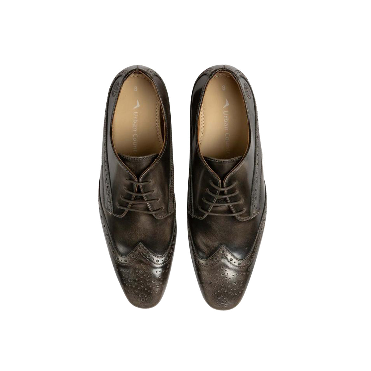 Men Leather  Brogue Derbys ǀ FLORIS 5176